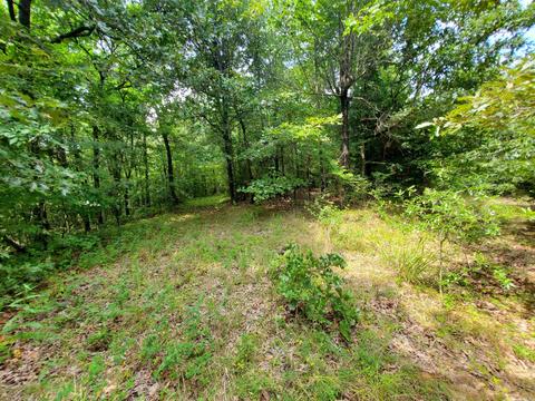 193 Cr 265, Rector, AR 72461 photo 22