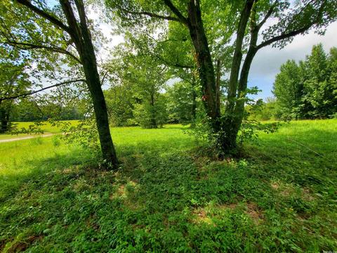 193 Cr 265, Rector, AR 72461 photo 2