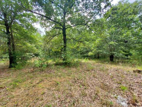 193 Cr 265, Rector, AR 72461 photo 13