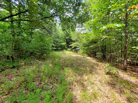 193 Cr 265, Rector, AR 72461 photo 21