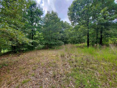 193 Cr 265, Rector, AR 72461 photo 12