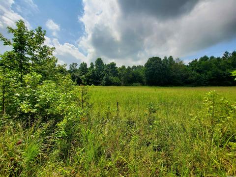 193 Cr 265, Rector, AR 72461 photo 10