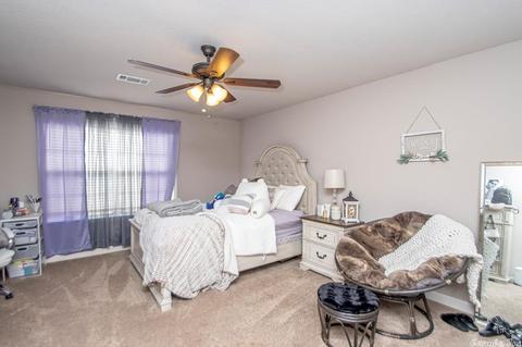 223 Cinel Loop, Austin, AR 72007 photo 18