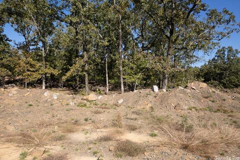 25 Wellington Place, Cabot, AR 72023 photo 8