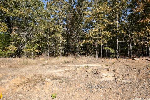 25 Wellington Place, Cabot, AR 72023 photo 17