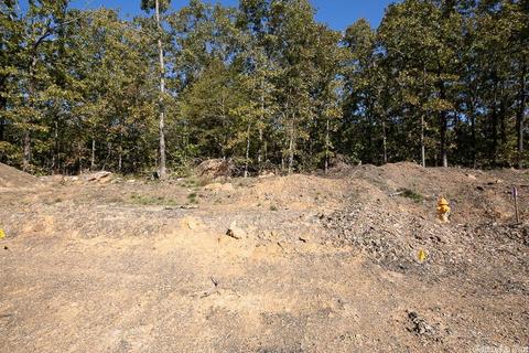 25 Wellington Place, Cabot, AR 72023 photo 10