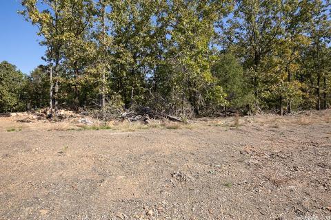 25 Wellington Place, Cabot, AR 72023 photo 12