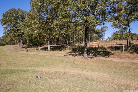 25 Wellington Place, Cabot, AR 72023 photo 24
