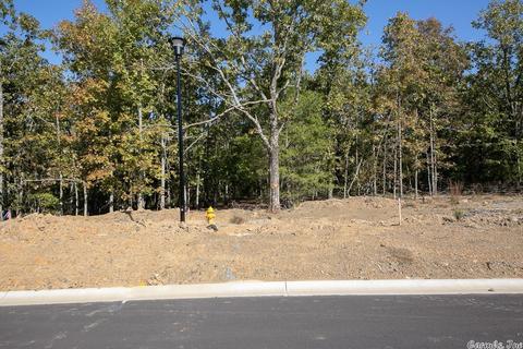 25 Wellington Place, Cabot, AR 72023 photo 16