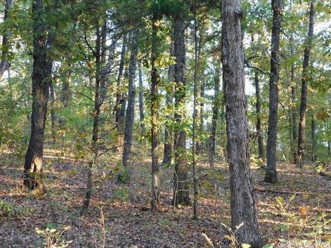 88 Stephens Ln, Imboden, AR 72434 photo 3