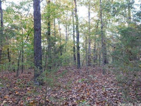 88 Stephens Ln, Imboden, AR 72434 photo 6