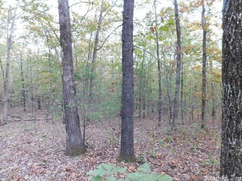 88 Stephens Ln, Imboden, AR 72434 photo 4