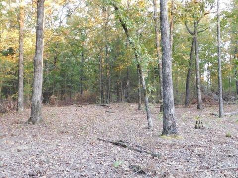88 Stephens Ln, Imboden, AR 72434 photo 17