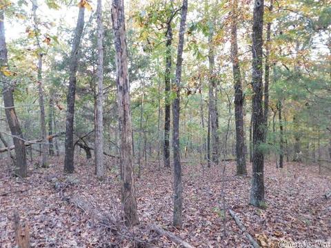 88 Stephens Ln, Imboden, AR 72434 photo 10