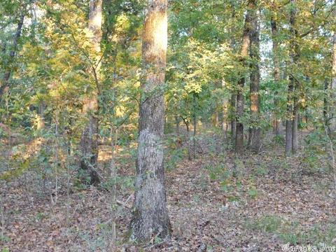 88 Stephens Ln, Imboden, AR 72434 photo 15