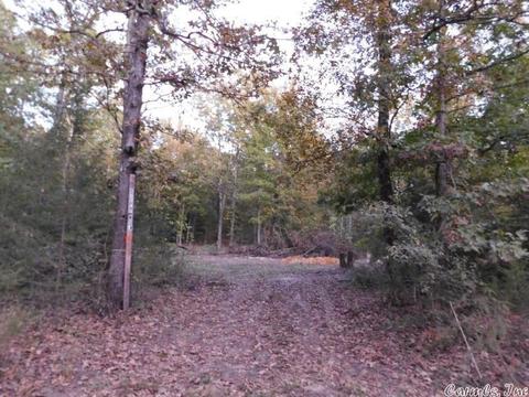 88 Stephens Ln, Imboden, AR 72434 photo 1