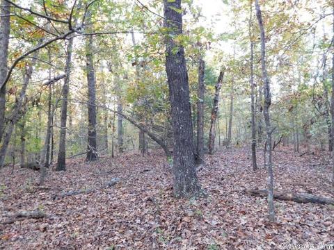 88 Stephens Ln, Imboden, AR 72434 photo 8