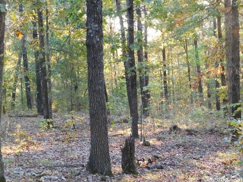 88 Stephens Ln, Imboden, AR 72434 photo 9