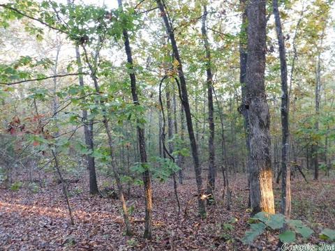 88 Stephens Ln, Imboden, AR 72434 photo 12