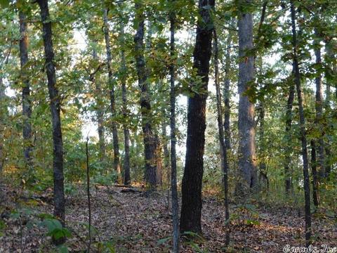 88 Stephens Ln, Imboden, AR 72434 photo 7