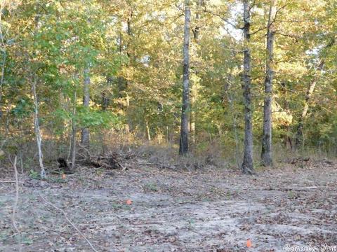 88 Stephens Ln, Imboden, AR 72434 photo 14