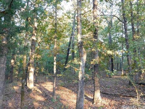 88 Stephens Ln, Imboden, AR 72434 photo 5
