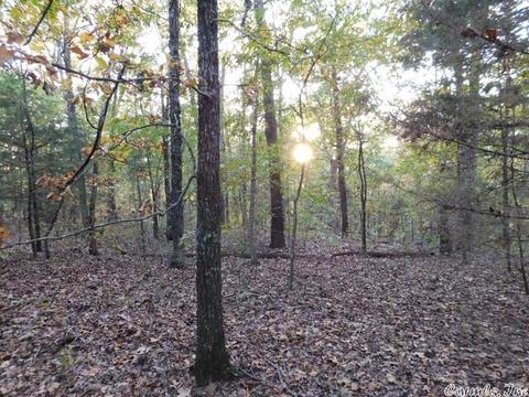 88 Stephens Ln, Imboden, AR 72434 photo 13