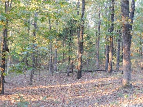 88 Stephens Ln, Imboden, AR 72434 photo 16