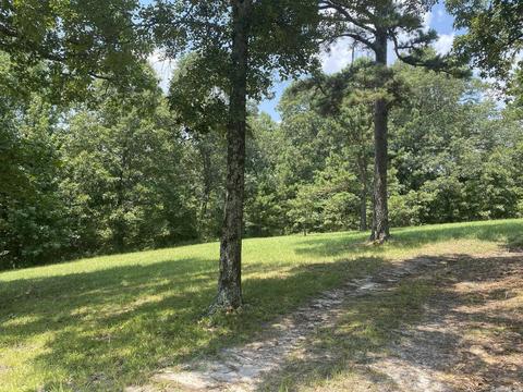 100 High Mountain Dr, Melbourne, AR 72556 photo 16