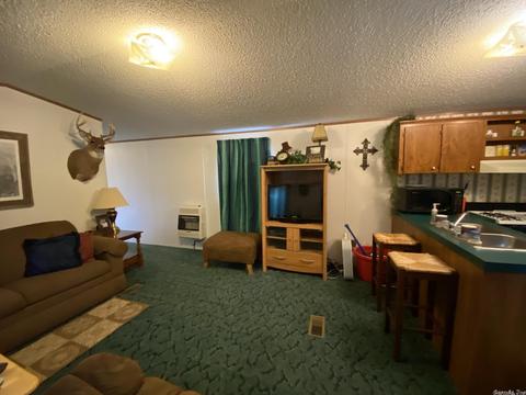 100 High Mountain Dr, Melbourne, AR 72556 photo 6