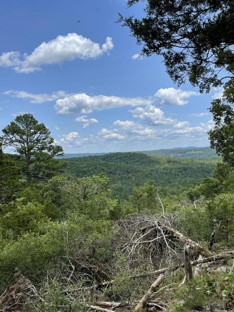 100 High Mountain Dr, Melbourne, AR 72556 photo 5