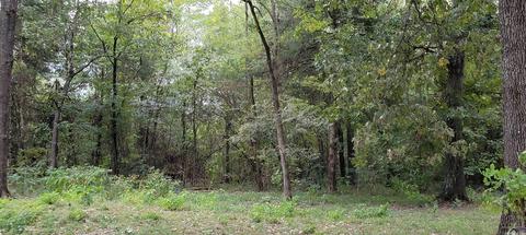 47 Shady Grv, Bigelow, AR 72016 photo 29