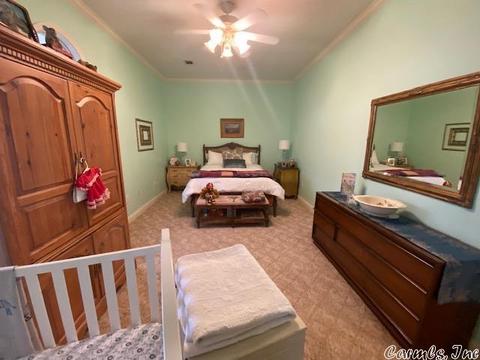 21280 Old Winery Rd, Trumann, AR 72472 photo 20