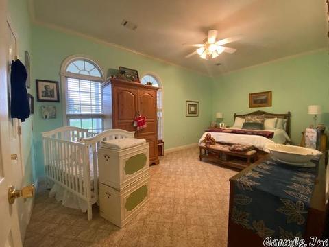 21280 Old Winery Rd, Trumann, AR 72472 photo 19