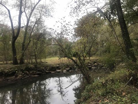 57 Cedar Glade, Pangburn, AR 72121 photo 11