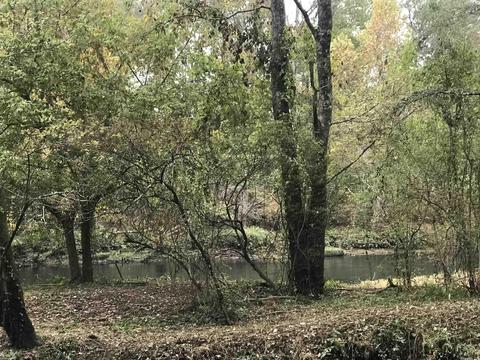 57 Cedar Glade, Pangburn, AR 72121 photo 16
