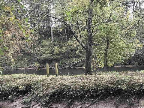57 Cedar Glade, Pangburn, AR 72121 photo 13