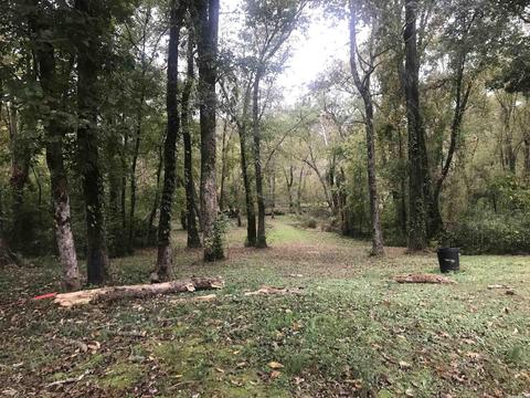 57 Cedar Glade, Pangburn, AR 72121 photo 6