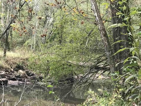 57 Cedar Glade, Pangburn, AR 72121 photo 14