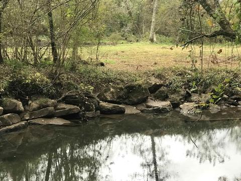57 Cedar Glade, Pangburn, AR 72121 photo 15