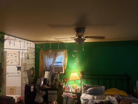 311 Braley Ave, Gillham, AR 71841 photo 7