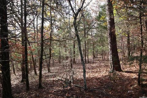 tbd Agnew Rd, Ravenden, AR 72459 photo 4