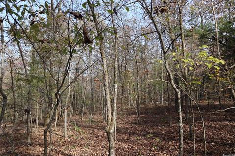 tbd Agnew Rd, Ravenden, AR 72459 photo 9