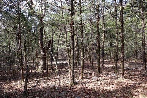 tbd Agnew Rd, Ravenden, AR 72459 photo 6