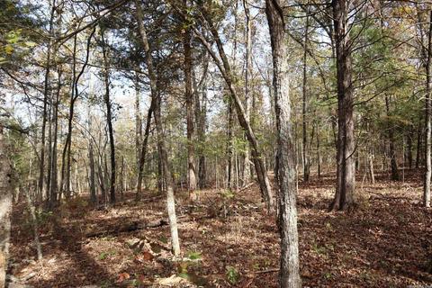 tbd Agnew Rd, Ravenden, AR 72459 photo 10