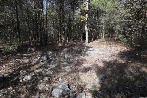 tbd Agnew Rd, Ravenden, AR 72459 photo 5