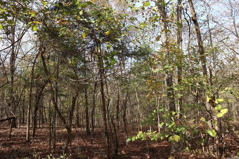 tbd Agnew Rd, Ravenden, AR 72459 photo 8