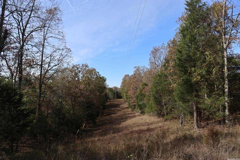 tbd Agnew Rd, Ravenden, AR 72459 photo 7