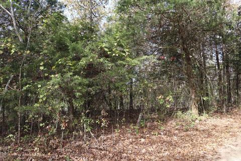tbd Agnew Rd, Ravenden, AR 72459 photo 12