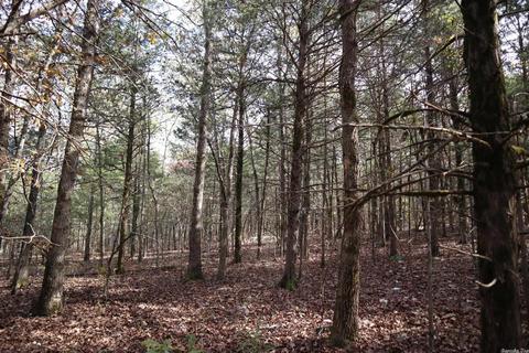 tbd Agnew Rd, Ravenden, AR 72459 photo 2